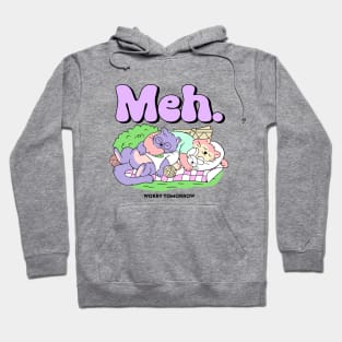 Cartoony Friends - Meh Worry Tomorrow Hoodie